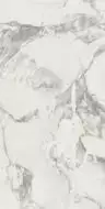 610010002746 Микеланджело Колд 60x120